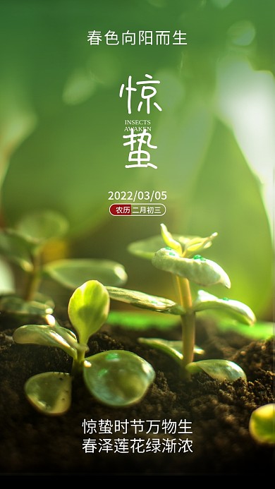 房地产惊蛰节气绿色植物手机海报壁纸启动页