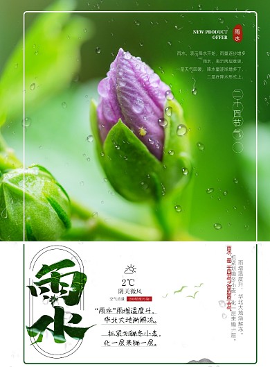时尚雨水节气印刷海报