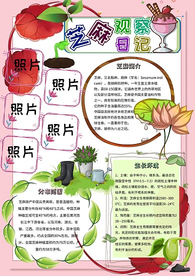 芝麻观察日记卡通小学生自然观察小报模板