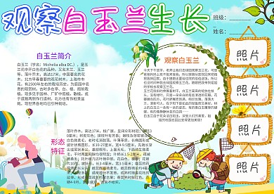 卡通观察白玉兰生长小报手抄报模板