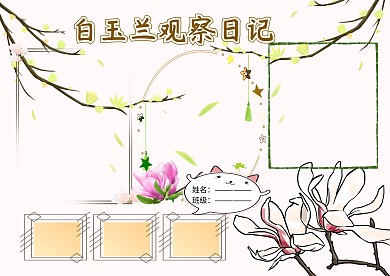 白玉兰植物手抄报版面设计