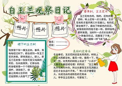白玉兰观察日记动植物小报小学生手抄报