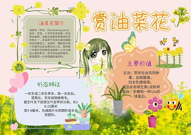 小学生手抄报赏油菜花模板