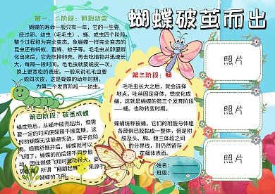 蝴蝶破茧而出动植物观察小报小学生手抄报