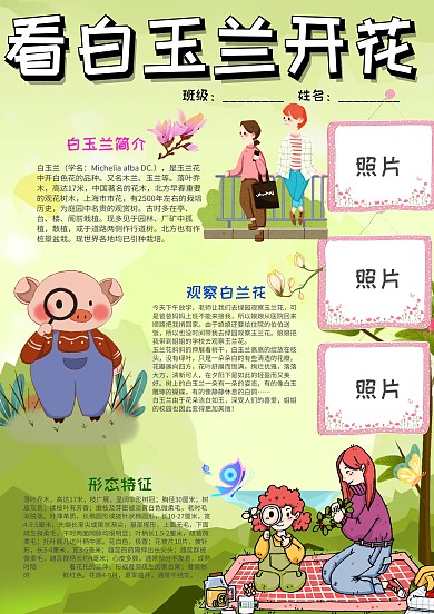 绿色可爱看白玉兰开花小报手抄报模板