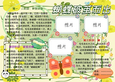 蝴蝶破茧而出动植物观察小报小学生手抄报