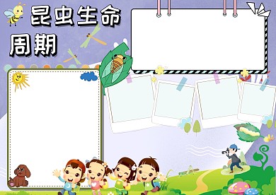 昆虫生命周期手抄报版面设计