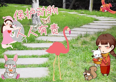 保护动物手抄报版面设计