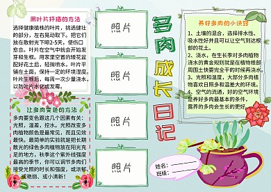 多肉成长日记植物观察小报手抄报