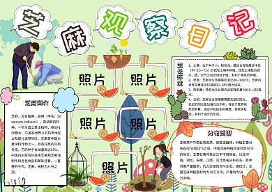 芝麻观察日记卡通小学生植物观察小报模板