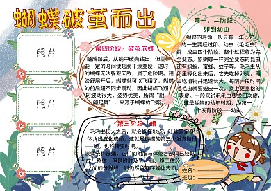 蝴蝶破茧而出动植物观察小报小学生手抄报