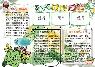 多肉成长日记植物观察小报手抄报