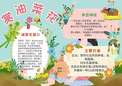 小学生手抄报赏油菜花模板