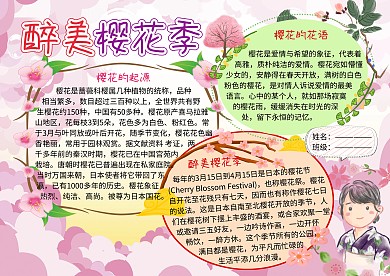 醉美春天樱花小报手抄报
