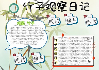 竹子观察日记卡通小学生小报模板