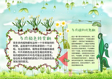 多肉植物手抄报