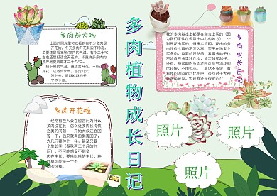 电子多肉植物成长日记手抄报