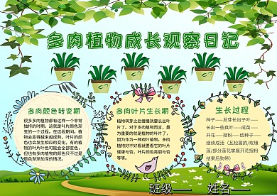 多肉植物手抄报
