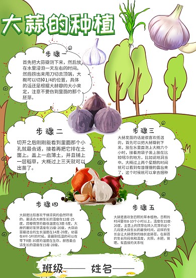 植物大蒜手抄报