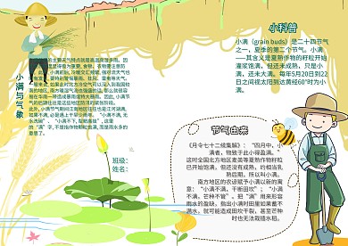 二十四节气小满气候科普夏天清新小报手抄报