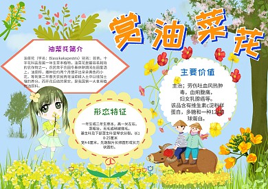 小学生手抄报赏油菜花模板