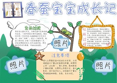 春蚕宝宝成长记卡通小学生小报模板
