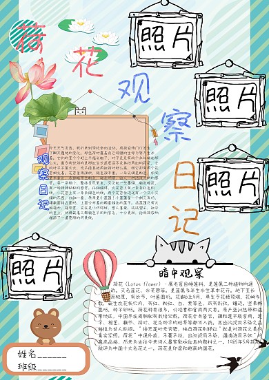 荷花观察日记卡通小学生小报模板
