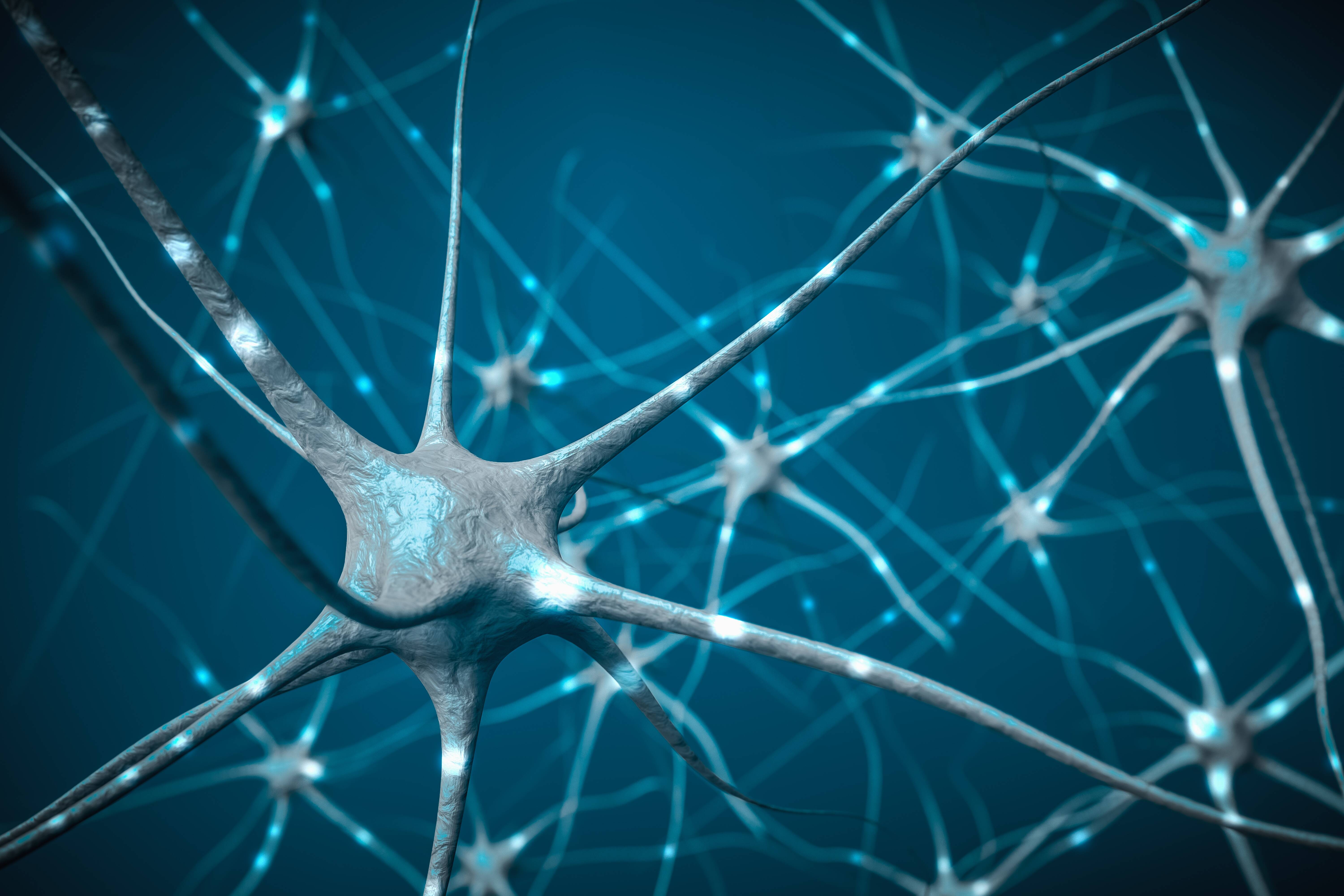 在大脑,3d 图的神经网络中的神经元信号 在大脑,3d 图的神经网络中的神经元信号