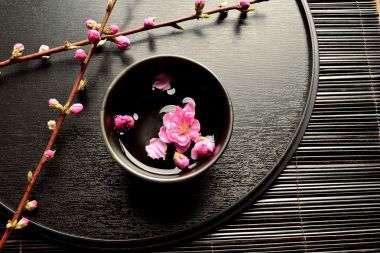 粉紅的桃花、 黑色小碗和托盤