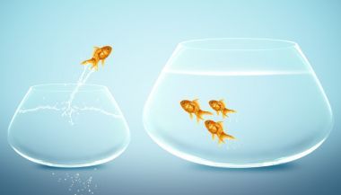 金魚跳入更大魚缸