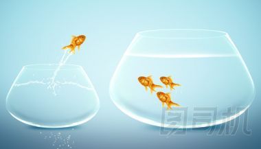 金魚(yú)跳入更大魚(yú)缸