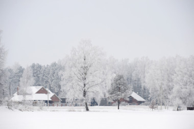 冬季景觀與卡巴納圖片
