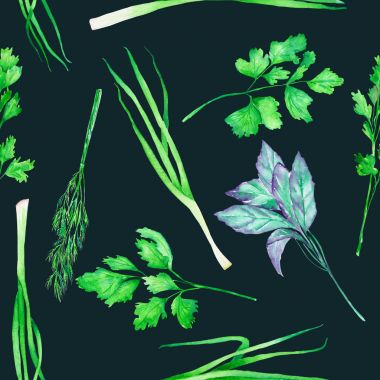 水彩香料:洋葱绿莳萝欧芹香菜和罗勒