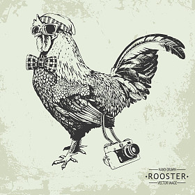 手绘矢量复古时髦风格公鸡