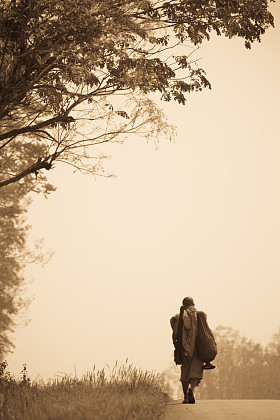 佛教僧侣采取在作为一种形式的 meritamaki 森林的道路