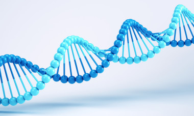 dna 上白色隔離