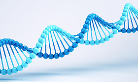 dna 上白色隔离