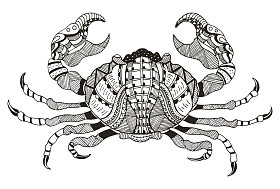 星座-巨蟹座矢量插图螃蟹Zentangle程式化的星座模式手绘徒手画的铅笔