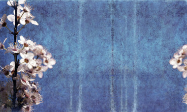 樸實(shí)的花卉背景