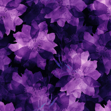 水彩花卉和草药图片