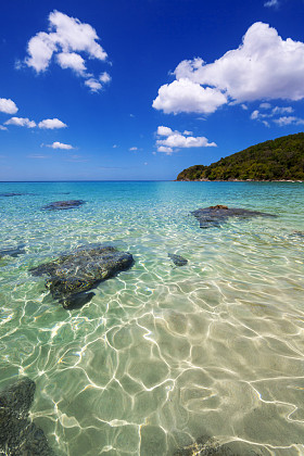 在晴朗的一天大海图片