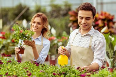 人们在橘园图片