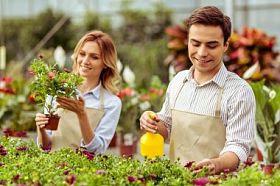 人们在橘园图片