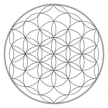 生命之花，佛教脉轮图