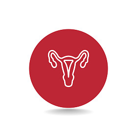 女性生殖器官的图标