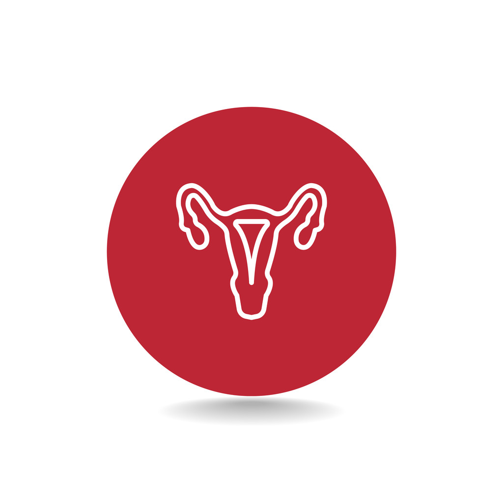 女性生殖器官的图标 女性生殖器官的图标