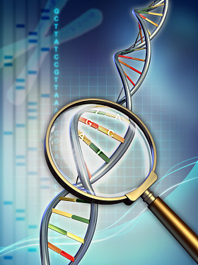 dna 分析