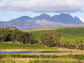 Stellenboschlandscape 在斯泰伦博斯