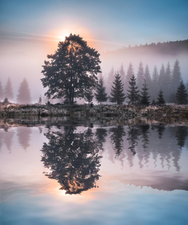 美麗的夕陽，tre 反映在平靜如水的湖