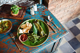 巴厘岛椰阿克图片